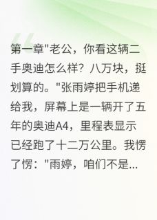 老婆给表弟一个亿，给我买二手车