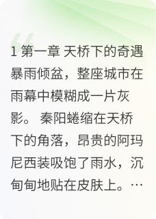 天桥下的奇遇