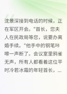 军婚破裂：首长，签字吧