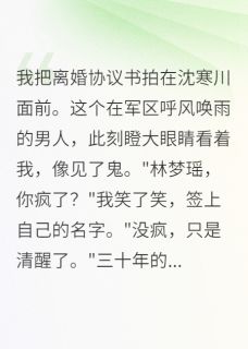 前世当保姆，重生我离婚