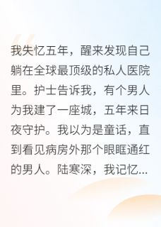 失忆五年前夫为我建座城