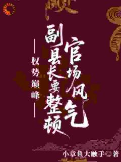 权势巅峰：副县长要整顿官场风气