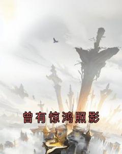 曾有惊鸿照影