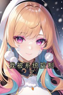 我被系统控制了