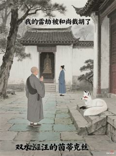 我的雷劫被和尚截胡了