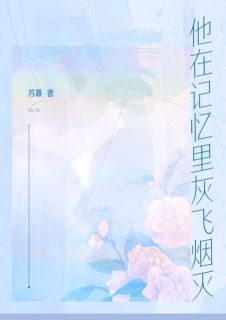 他在记忆里灰飞烟灭