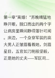 重生七零，带崽离婚后首长后悔了