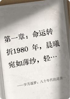 岁月逐梦：八十年代的逆袭人生
