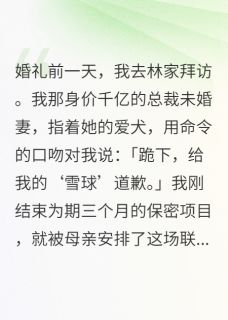 未婚妻让我给狗道歉，我直接退婚