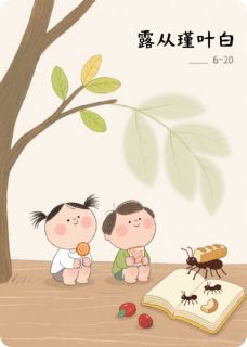 露从瑾叶白