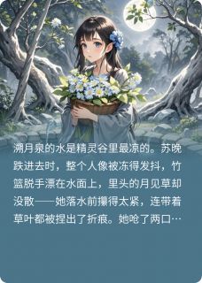 精灵的一万个月亮，只照过一个人