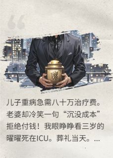 老婆拒付儿子治疗费，我杀疯了