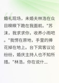 婚礼上未婚夫让我收养青梅的孩子