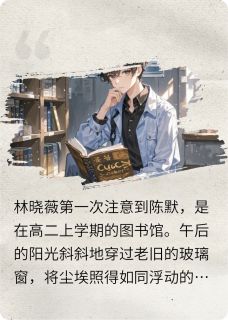 旧阳光里的阳光回声