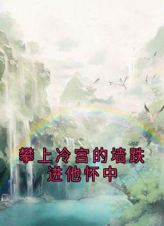 攀上冷宫的墙跌进他怀中