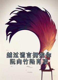 越过谎言拥抱你阮向竹陆肖凌