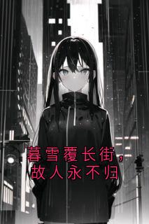暮雪覆长街，故人永不归