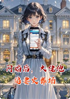 闪婚后，大佬他追妻火葬场