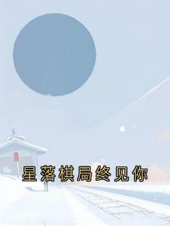 星落棋局终见你