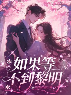 如果等不到黎明