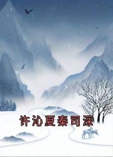 许沁夏秦司深