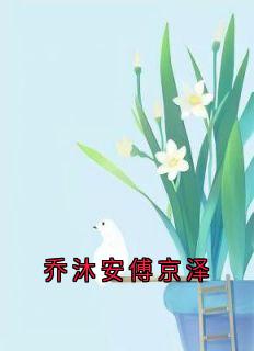 乔沐安傅京泽