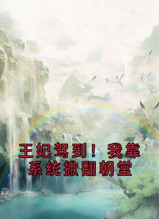 王妃驾到！我靠系统掀翻朝堂