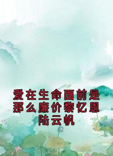 爱在生命面前是那么廉价黎忆恩陆云帆
