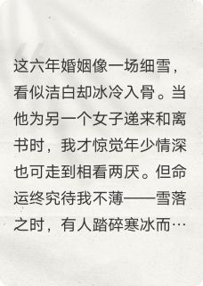 雪落拂尘缘
