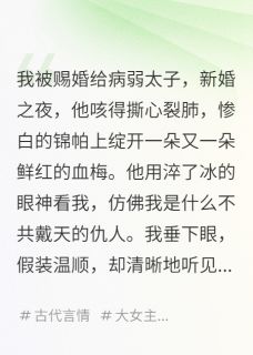 新婚夜，我听见太子想杀我