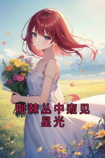 荆棘丛中窥见星光