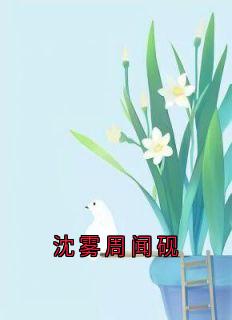沈雾周闻砚