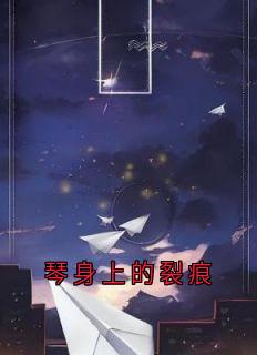 琴身上的裂痕