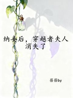 纳妾后，穿越者夫人消失了