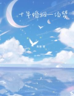十年婚姻一场梦