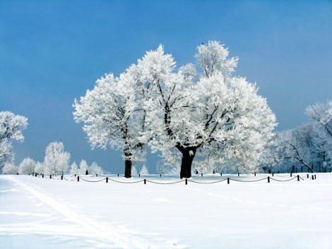 奇异的彩色雪