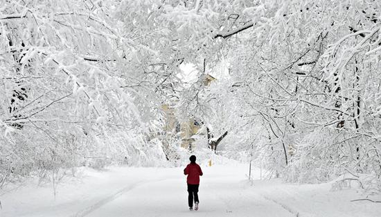 为什么一下雪 世界就变得很安静