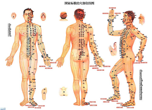 人体中的108个要害穴位都在哪里