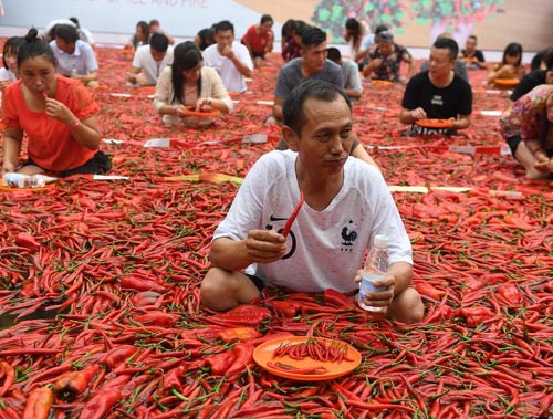 舌头为什么能辨别味道